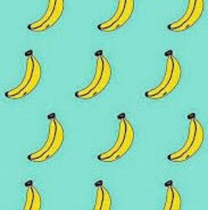 Meet your Posher, Evan